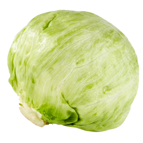 Head Lettuce