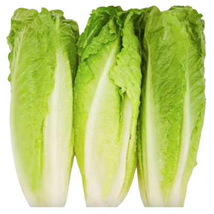 Romain Lettuce Heart, 12oz