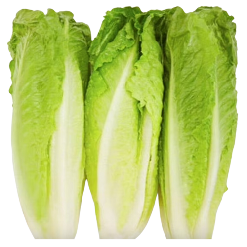 Romain Lettuce Heart, 12oz