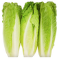 Romain Lettuce Heart, 12oz