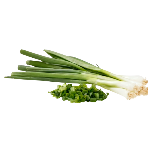 Scallion