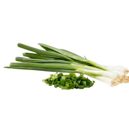 Scallion