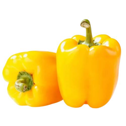 Yellow Pepper, 2 count