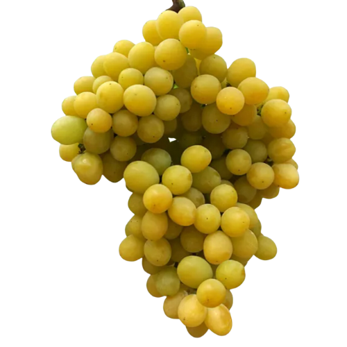 Cotton Candy Grapes, 3lbs.