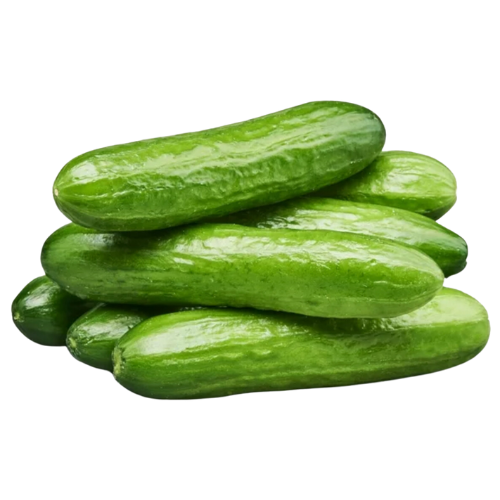 Fresh Mini Cucumbers, 16oz