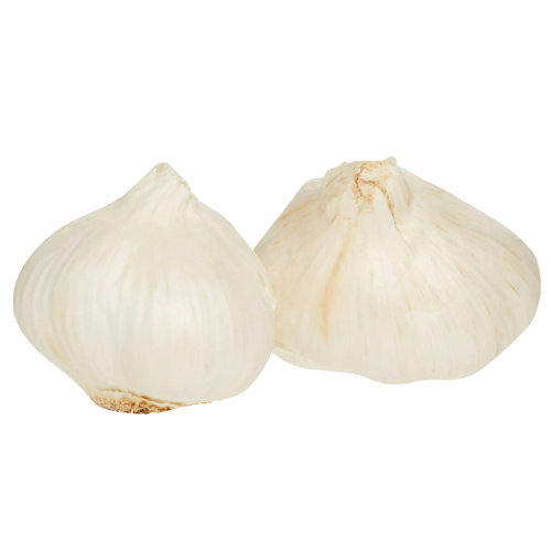 Fresh Garlic Sleeve, 3 Count