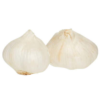 Fresh Garlic Sleeve, 3 Count