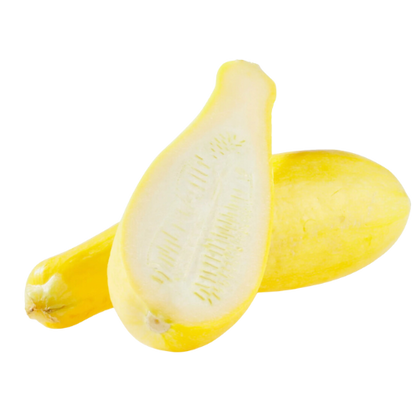 Fresh Yellow Squash, 2ct